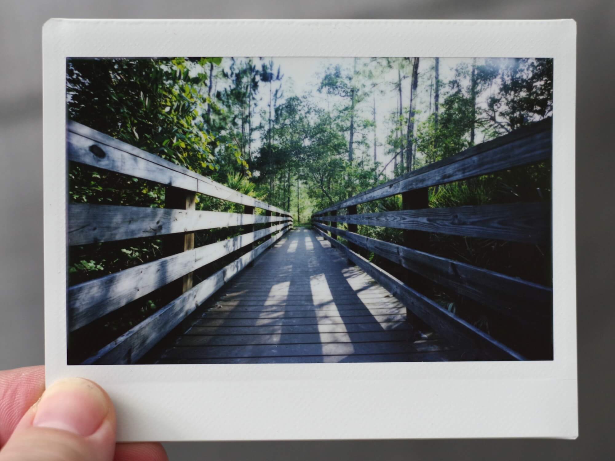 Wide angle Instax Wide print of a boardwalk in the woods from knee height