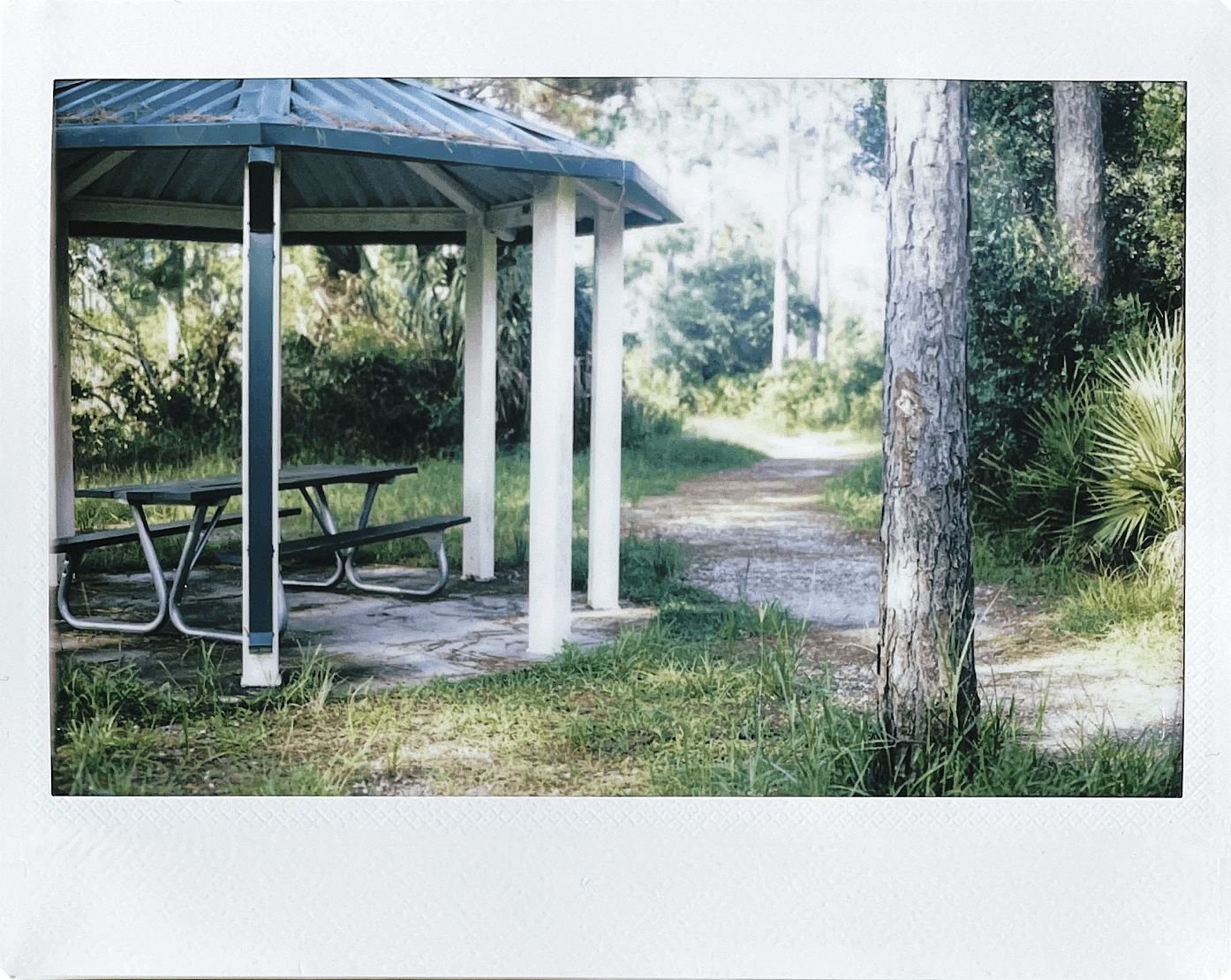 Instax Wide print of a gazebo next to a trail in the woods